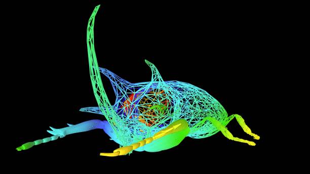 istock 3d rendering of an artistic object made with colorful rope lines on black 1143007157