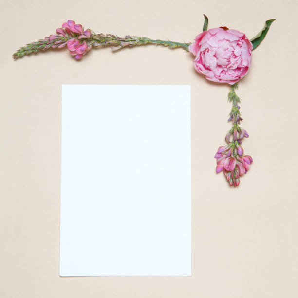 istock A decorative floral frame with a pion and a sheet for text. 1143007187
