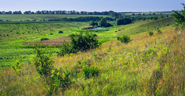 istock Fields landscape in summer sunset and sunrise 1143007627