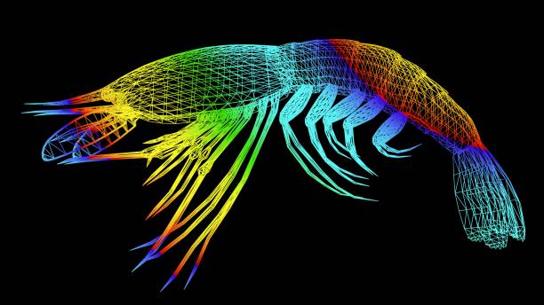 istock 3d rendering of an artistic object made with colorful rope lines on black 1143007632