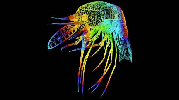 istock 3d rendering of an artistic object made with colorful rope lines on black 1143008113