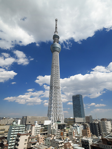 Tokyo Sky Tree and residential area