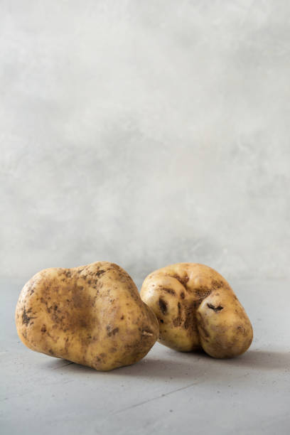 istock Ugly organic potatoes. Space for text. Concept organic vegetables. 1143009444