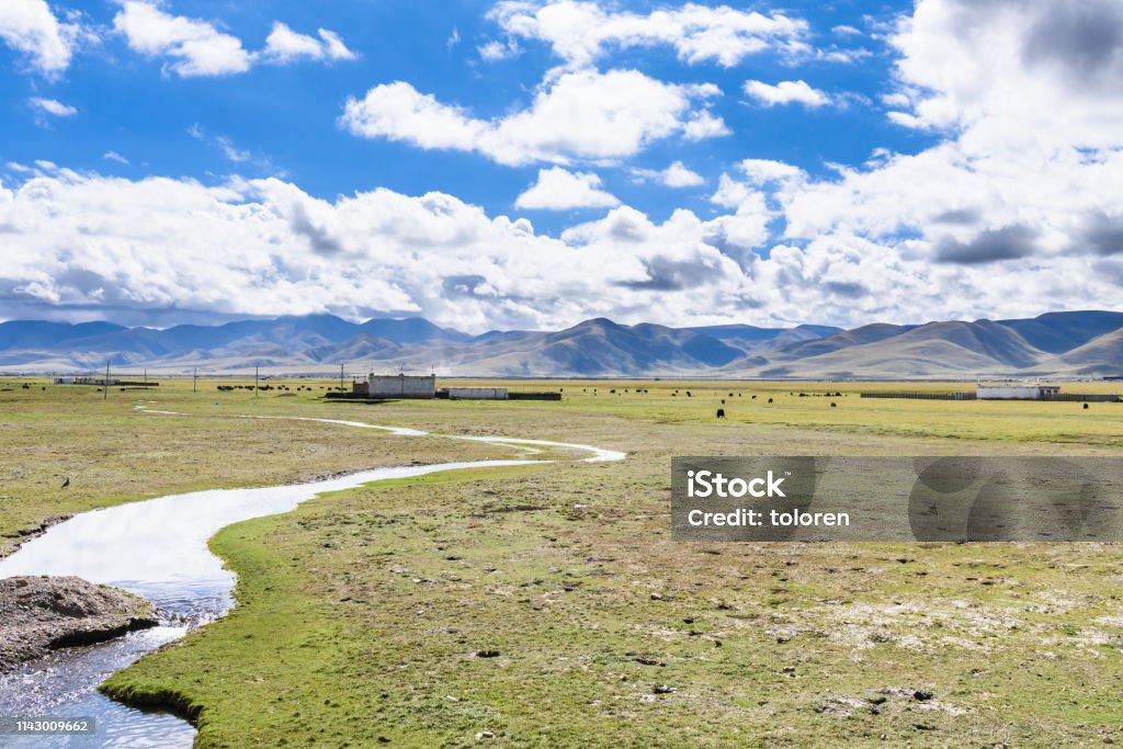 ダムシュン 郡ラサチベット中国のガンディセガンディセ山脈の東側に提出された草の眺め めがねのストックフォトや画像を多数ご用意 iStock