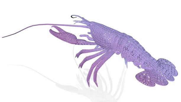 istock 3d rendering of an artistic animal with reflection isolated on white 1143011323
