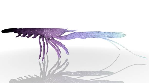 istock 3d rendering of an artistic animal with reflection isolated on white 1143011607