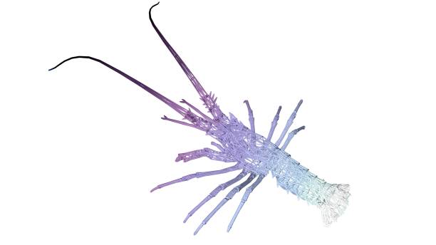 istock 3d rendering of an artistic animal with reflection isolated on white 1143012446