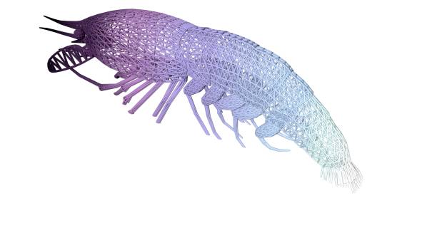 istock 3d rendering of an artistic animal with reflection isolated on white 1143012456