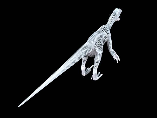 istock 3d rendering of a white wired dino isoalted on black 1143014355