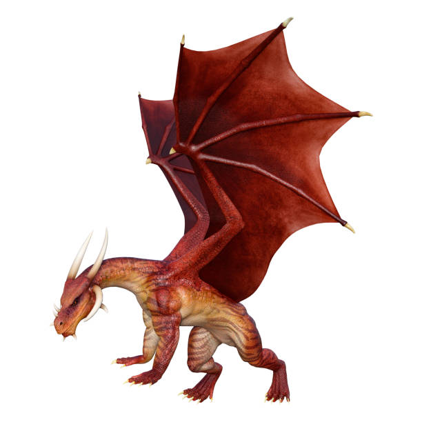 istock 3D illustration red fantasy dragon on white 1143015065