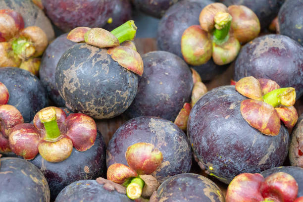 istock pile of mangosteen 1143015726