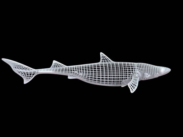 istock 3d rendering of a white wired dino isoalted on black 1143015758