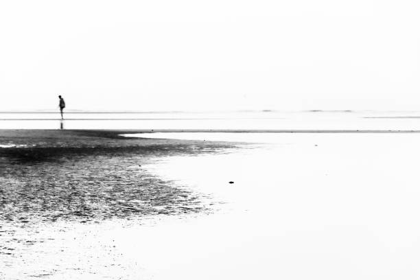 istock summer dawn over the beach in Bibione, Italy 1143015946