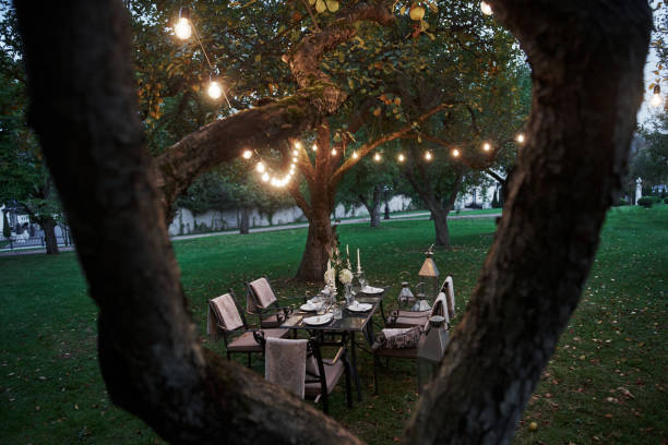 istock View through the two branches. Prepared desk waiting for food and visitors. Evening time 1143016200