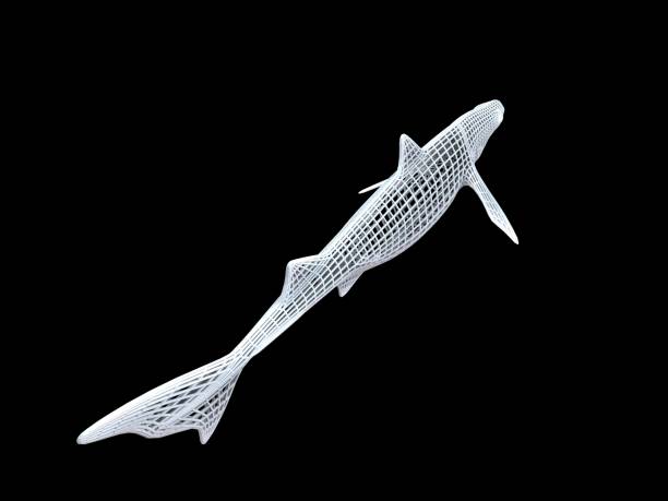 istock 3d rendering of a white wired dino isoalted on black 1143016764