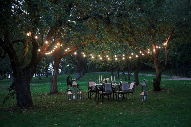 istock Light bulbs creates charming atmosphere. Prepared desk waiting for food and visitors. Evening time 1143016786
