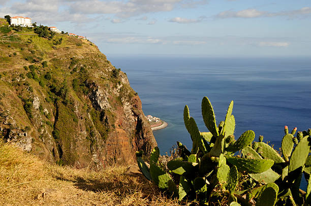istock Rocky coastline in South Madeira Island 114301961
