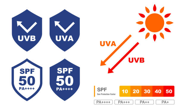 uv-pflege-grafikset (schild) - orange frucht grafiken stock-grafiken, -clipart, -cartoons und -symbole