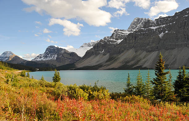 lago situato sul fiume bow lungo le montagne rocciose. - bow lake foto e immagini stock