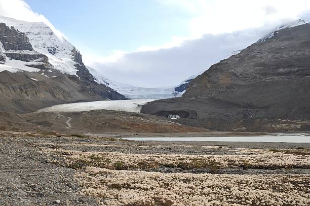 istock Athabasca Glacier along Icefields Parkway,Jasper National Park,Canada 114302382