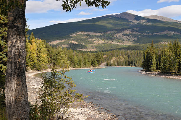 istock Rafting on the Athabasca River,Jasper,Jasper National Park,Canada 114302386