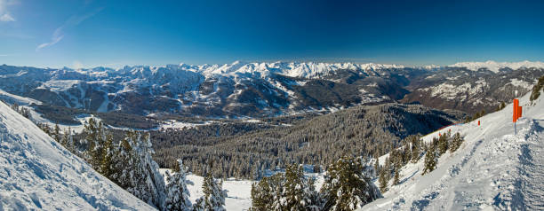 istock Panoramic view down snow covered valley in alpine mountain range with conifer pine trees 1143026151