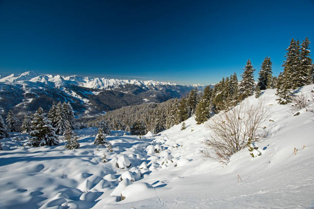 istock Panoramic view down snow covered valley in alpine mountain range with conifer pine trees 1143026713