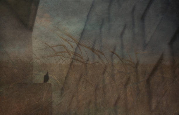 istock Moody Grunge Landscape 1143027801