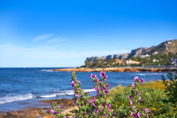 istock Denia Las rotas beach in spring at Alicante 1143027805