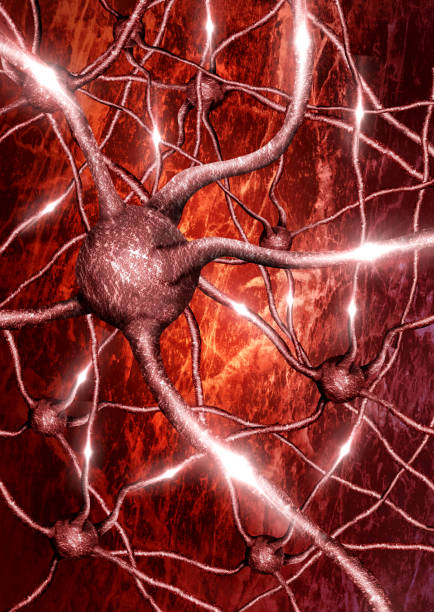 primo piano di neurone con sfondo rete neurale nell'attività elettrica - nerve cell healthcare and medicine research human hand foto e immagini stock