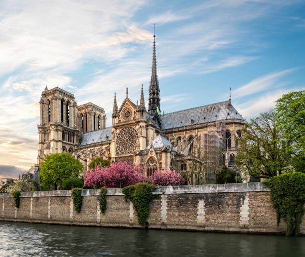 istock Cathedral Notre Dame de Paris 1143033560