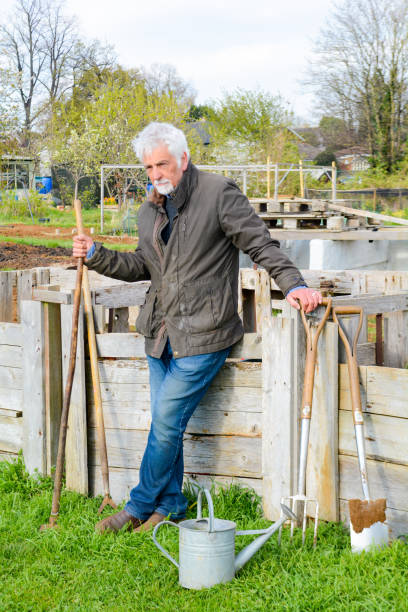 istock Mature man at allotment garden 1143035051