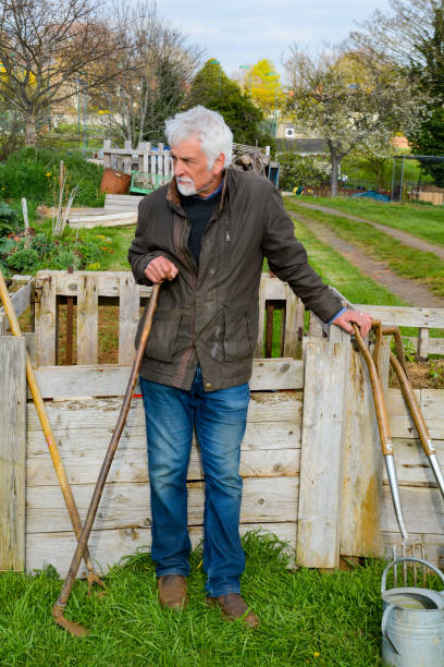 istock Mature man at allotment garden 1143035176
