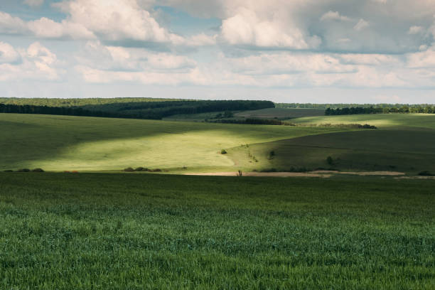 istock Landscape with contrast areas of light and shadows 1143035502