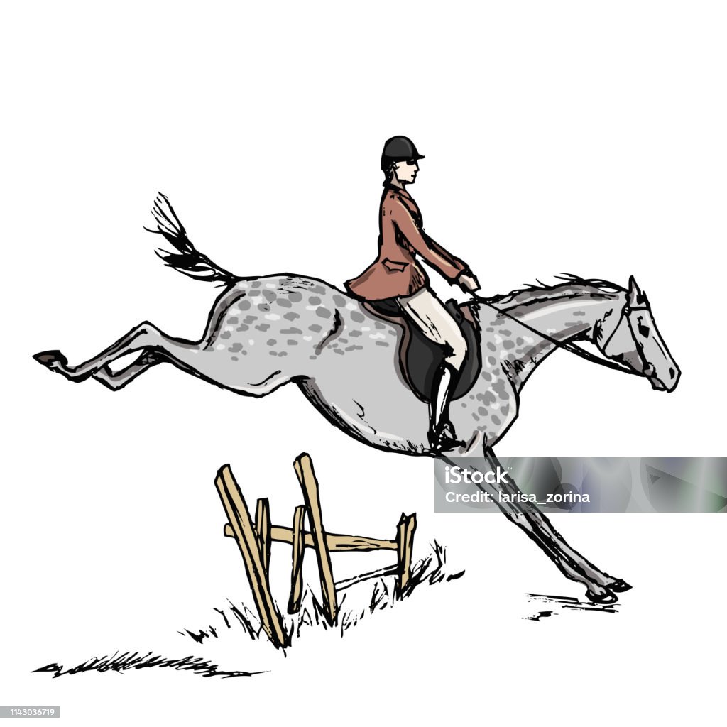 Dessin Cheval Qui Saute Avec Cavalier Cavalier De Cheval Horseman Homme De Saut De Cheval De Style Anglais Équitation Mâle Sur Le Cheval Gris De Dapple Vecteurs libres de droits et plus d'images vectorielles de Course d'obstacles -