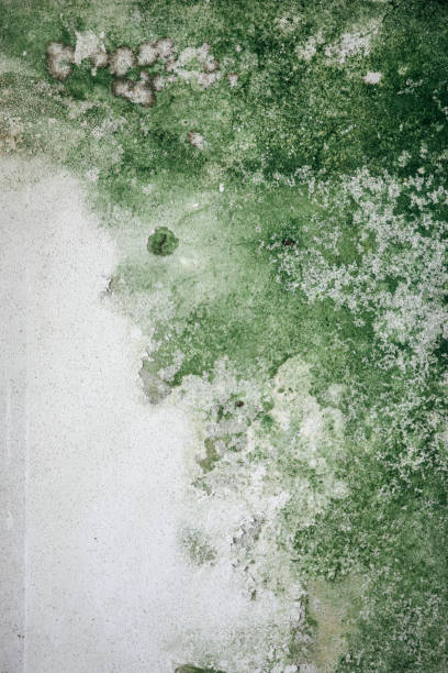 istock Old and weathered colorful wall background 1143039565