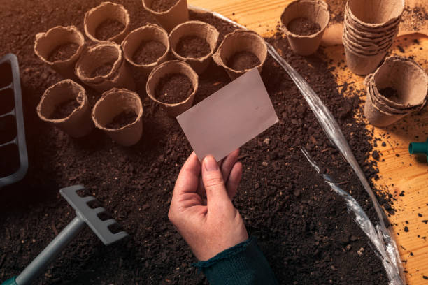istock Gardener holding blank business card mock up 1143039796