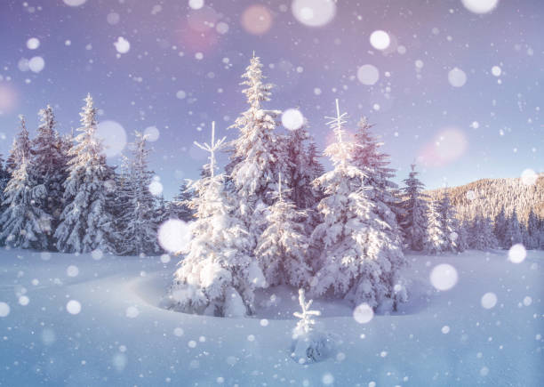 istock Gorgeous winter place. Outstanding mountains. Trees covered with snow 1143041338