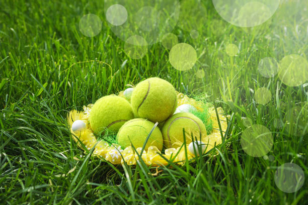 Tennis Easter with tennis balls in a basket on green grass and blurred bokeh sunlight background. Tennis Easter with tennis balls in a basket on green grass and blurred bokeh sunlight background. Selective focus, copy space. tennis ball container stock pictures, royalty-free photos & images