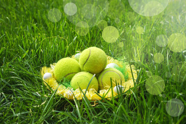 tennis easter with tennis balls in a basket on green grass and blurred bokeh sunlight background. - playing field determination exercising relaxation exercise imagens e fotografias de stock