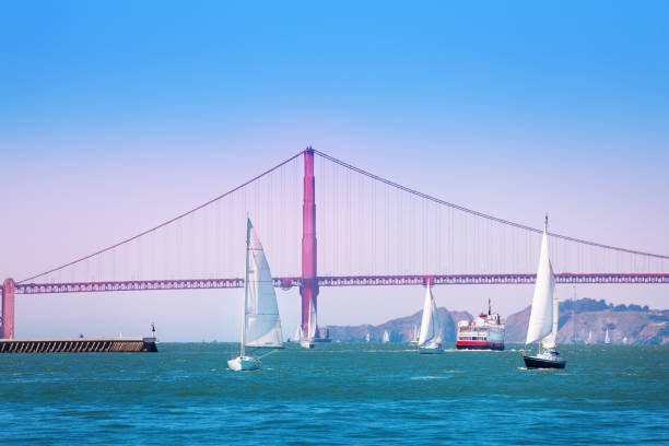 istock San Francisco bay with yachts and ships, USA 1143043339