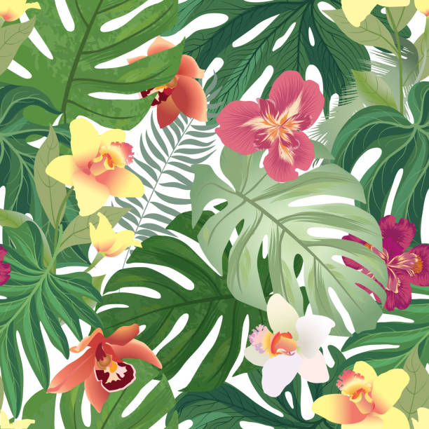 ilustraciones, imágenes clip art, dibujos animados e iconos de stock de patrón floral sin costuras. orquídea jardín flor con hojas de palmera tropical. antecedentes de vacaciones de verano. - hawaiian orchid