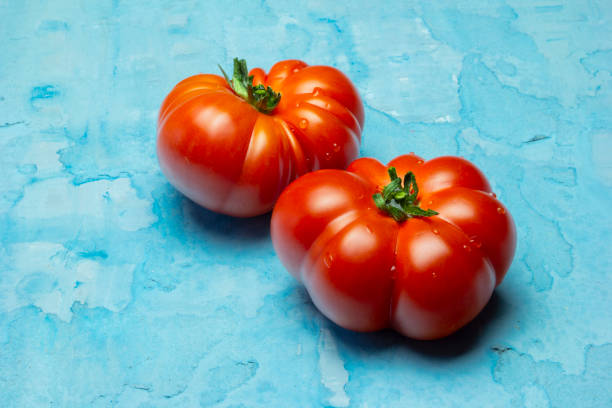 Brandywine red tomatoes on grunge blue background