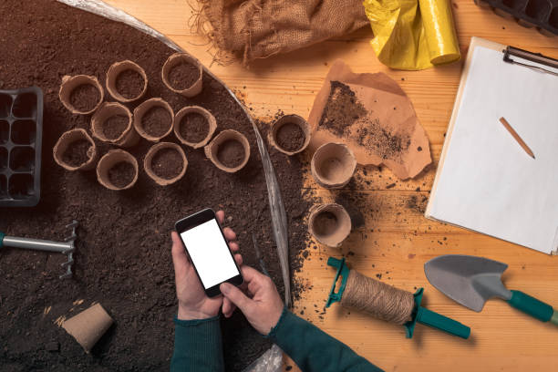 istock Smartphone mock up in hands of organic gardener 1143046268