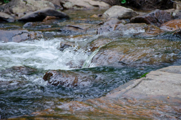 istock The course of the forest river 1143046272