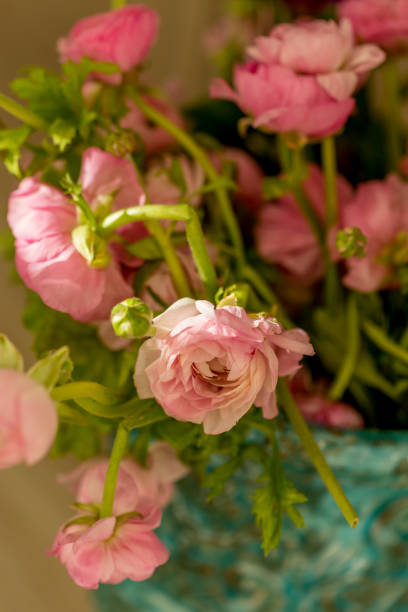 istock Pink ranunculus in turquoise ceramic vase 1143046667
