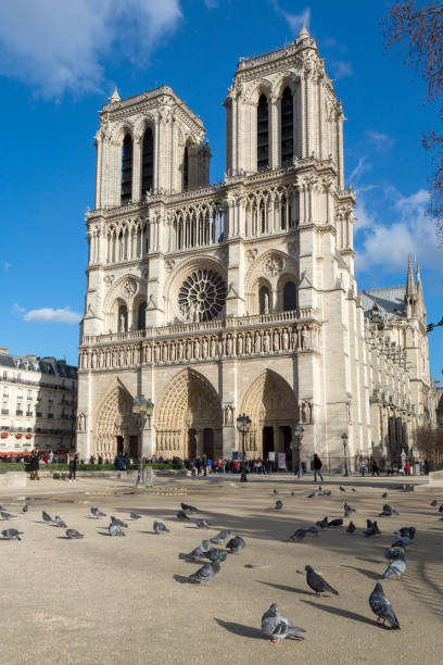 istock Notre Dame Cathedral in Paris 1143048501