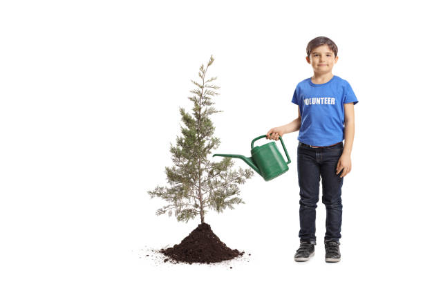 istock Boy volunteer pouring water to a planted tree 1143052533