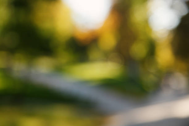 istock Abstract blurred nature background. Forest trees, Sunny day, sun glare, bokeh. Defocused backdrop for your design 1143057369