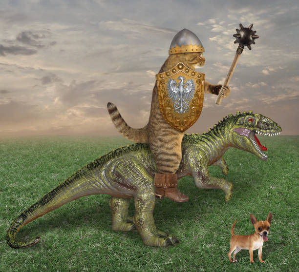 istock Cat riding a dragon in the field 1143058196